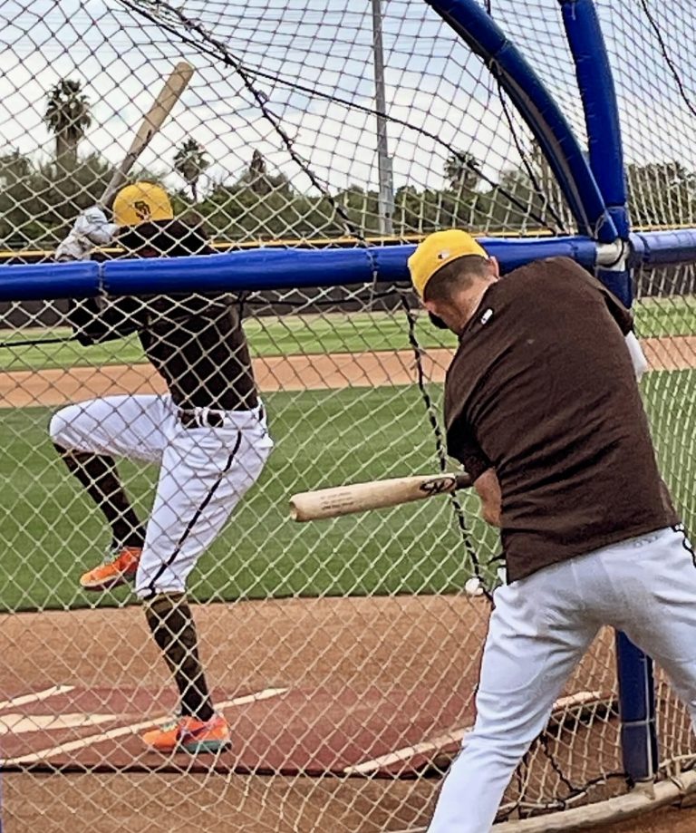 Baseball Meets Neuroscience: The Mental Game-Changer