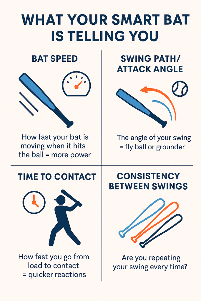 Infographic showing How Smart Bats work